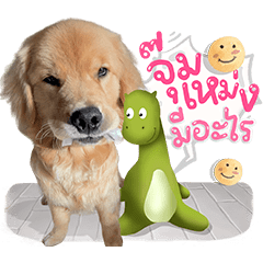 จุ๊มเหม่งมีอะไร