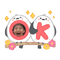 sally_20250411170545