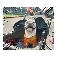 dan_20250411201318