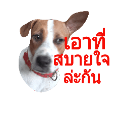 ADOGV3