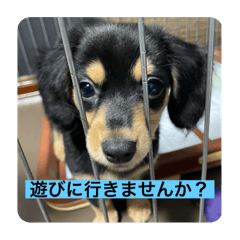 HARU_20250411181726