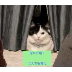 anna_20250411203759
