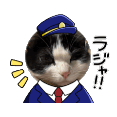 yun_20250411211334