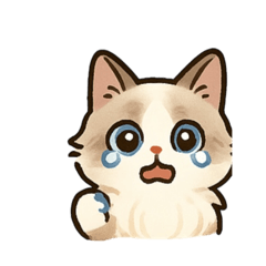 小白白兒
