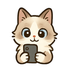 小白白.