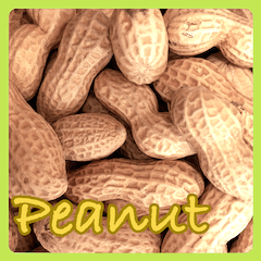 NICE Peanut sticker