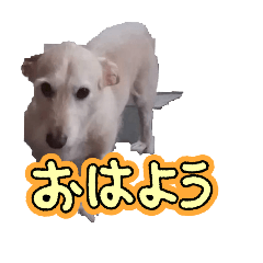 h_20250411185224