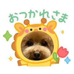 azu_20250411190032