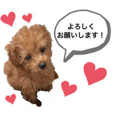 Mugi_20250411190717