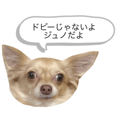 yui_20250411235153