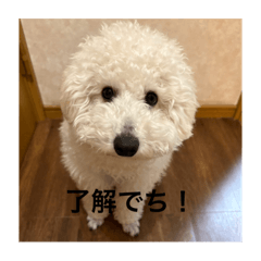yuzu_20250411195055
