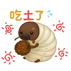 甲蟲系