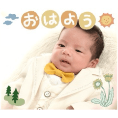 yayoi_20250411195648