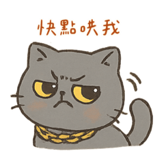 唏唏貓咪