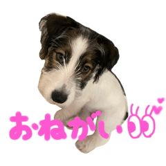 ANGEL_20250411215441