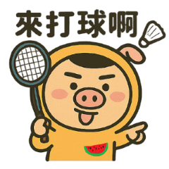 西瓜豬也會打羽球