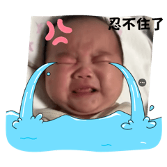 雷夢表情