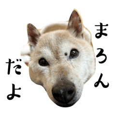 ry_20250412002738