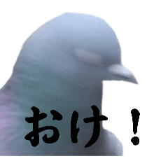 ayano_20250412093209