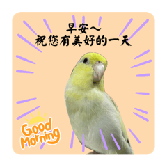 勾追ㄟmo