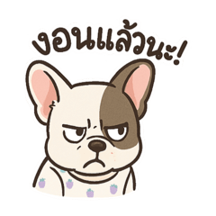 Puppupy