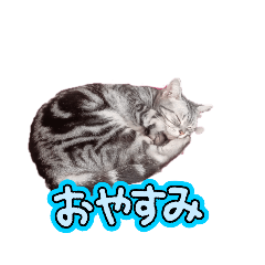 rrr_20250411192720