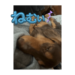 s_20250412094311