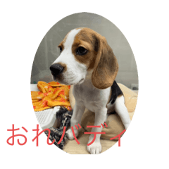 MASATO0527_20250412094143