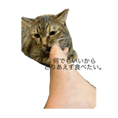 S_20250412101430