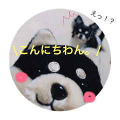 Hello my name is mameta.