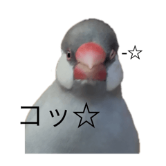 suzu_20250411232818