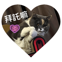 賣萌小喵