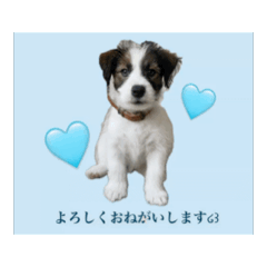 ANGEL_20250411231640