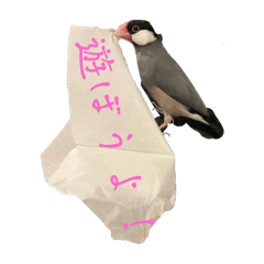 Haru_20250412120107