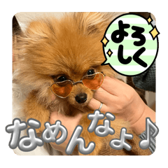 haru_20250411230754