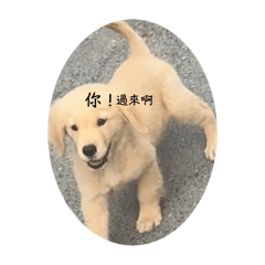Wu Xiaopang