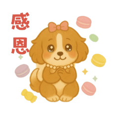 標準貴賓Bonnie-日常用語