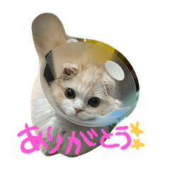 uyu's stamp!