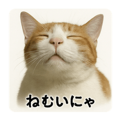 King_20250411184607