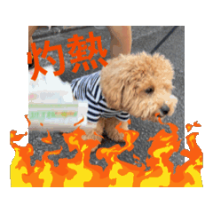 nissy_20250412135915