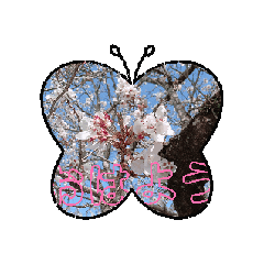 i_20250412173431