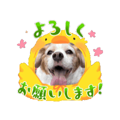 kchan_20250412201329