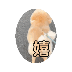 kj_20250412203321