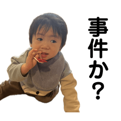 penguin penguin_20250412160745