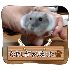 runa.TK