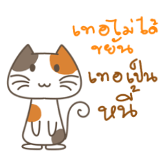 Bored calico cat