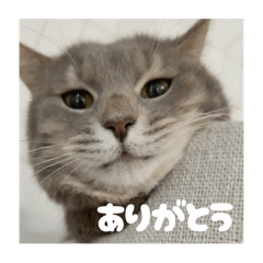 mm_20250412164719