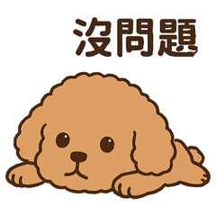 林樂樂