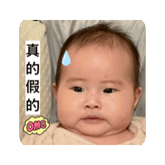 霏霏動動圖