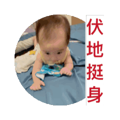 娃～伏地挺身...芝麻湯圓生活大小事。